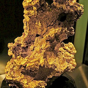 Kalgoorlie Gold. Display at South Australia Museum.